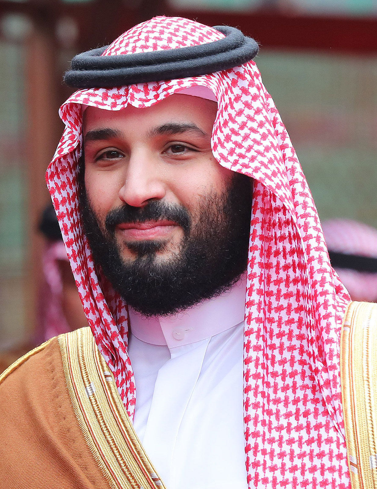 Mohammed bin Salman policy maker Saudi king 2015