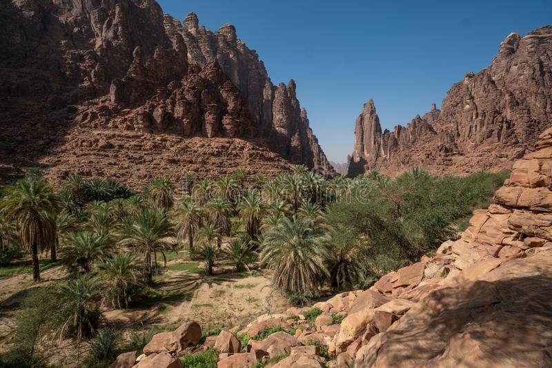 wadi disah another great example diversity natural landscapes saudi arabia rock oasis scenes tabuk region 152806457