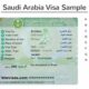 large SAUDI ARABIA VISA FINAL