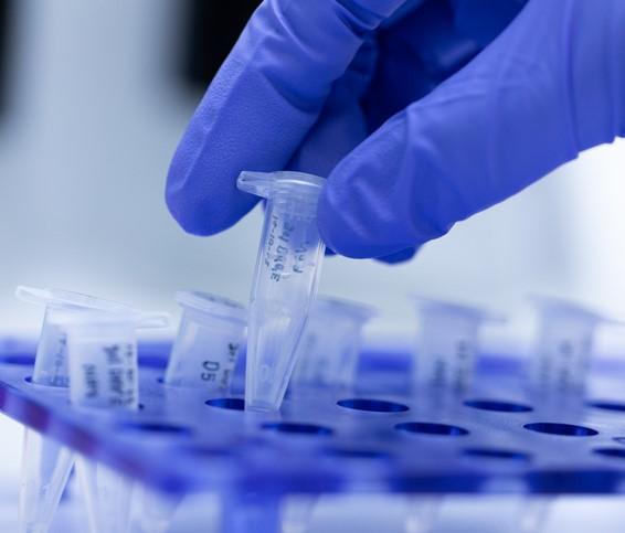 pcr test with gloved hand