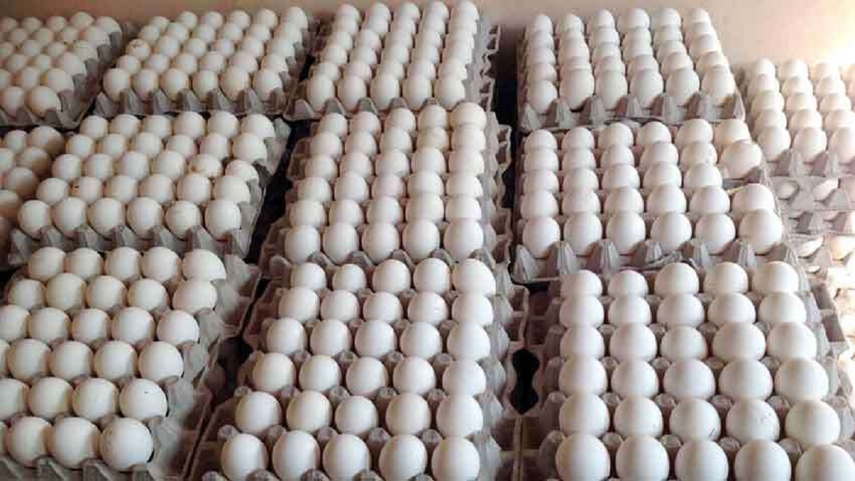 egg price latest news 1610115233